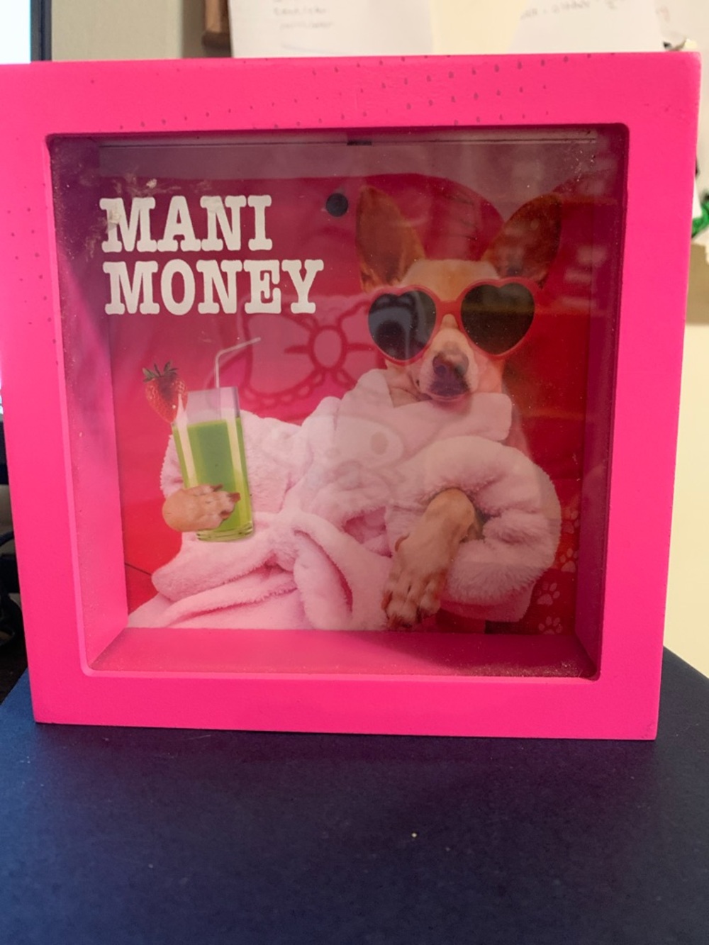 Mani Money Hot Pink Decorative Shadow Box.Coin Bank